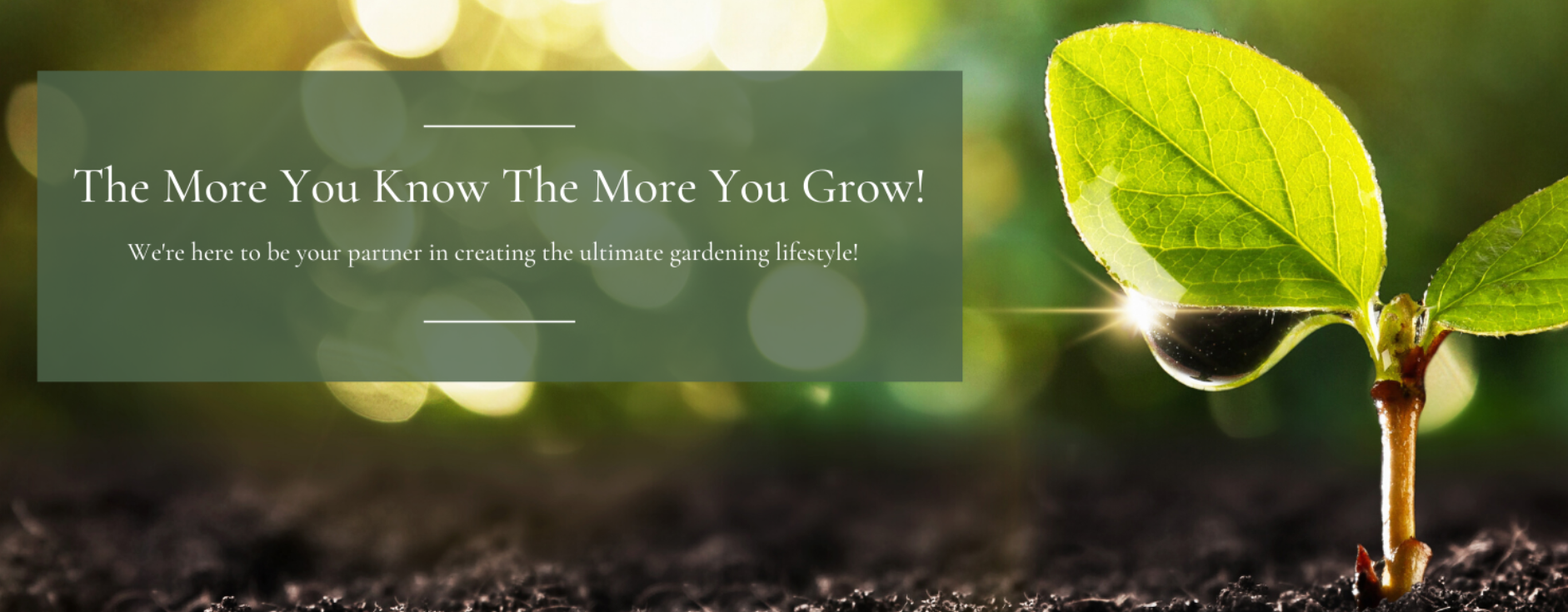 Green sprout in soil with sunlight and quote, “The More You Grow, The More You Grow.”