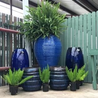Blue ceramic planters with lush green plants arranged on an outdoor patio or deck