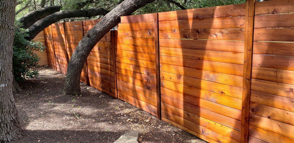 A wooden fence surrounds a yard with a tree in the foreground. Sunlight casts shadows on the fence.