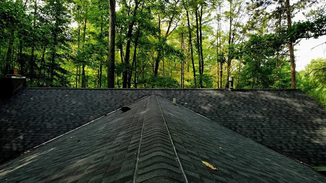 A perspective view looking down the peaked roof of a house, set against a backdrop of dense green trees.