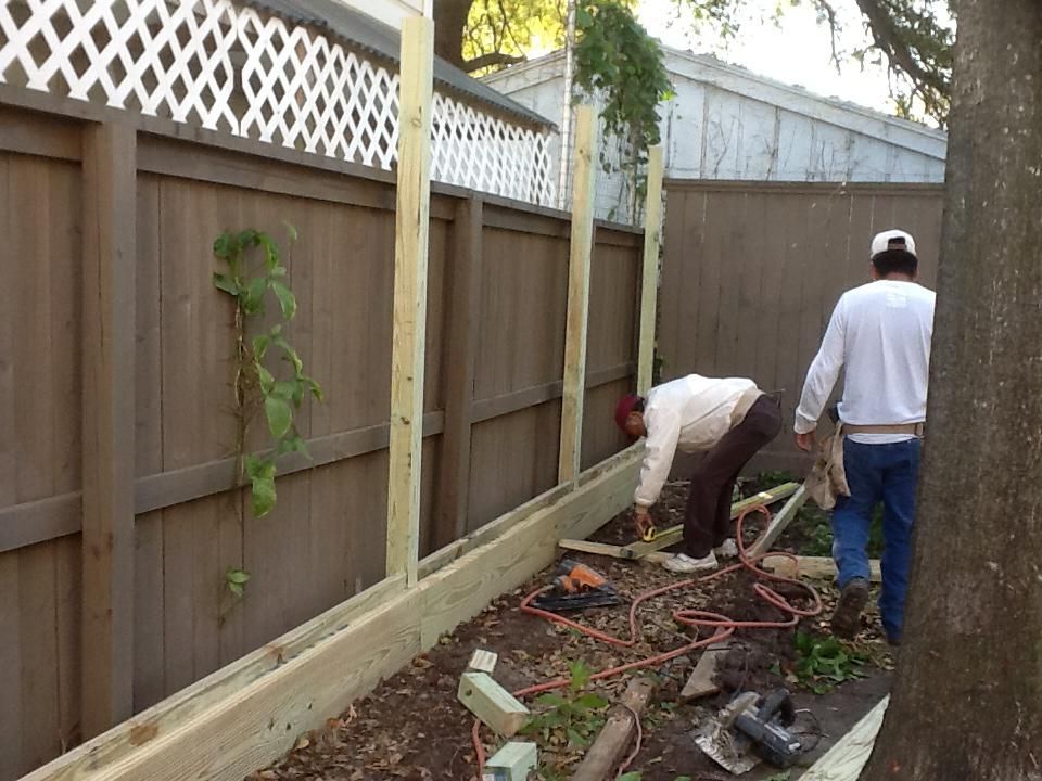 Two men constructing a wooden frame against a brown fence, with green plants growing.