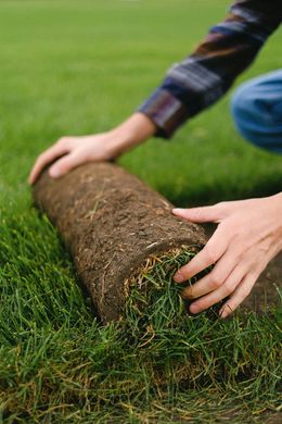 Person rolling out sod onto green grass.