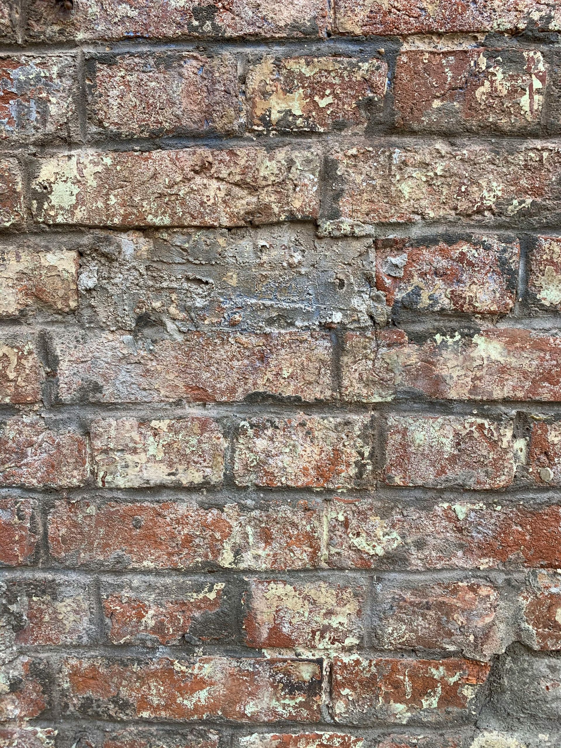 Close-up of an old brick wall with weathered red-brown bricks and gray mortar.