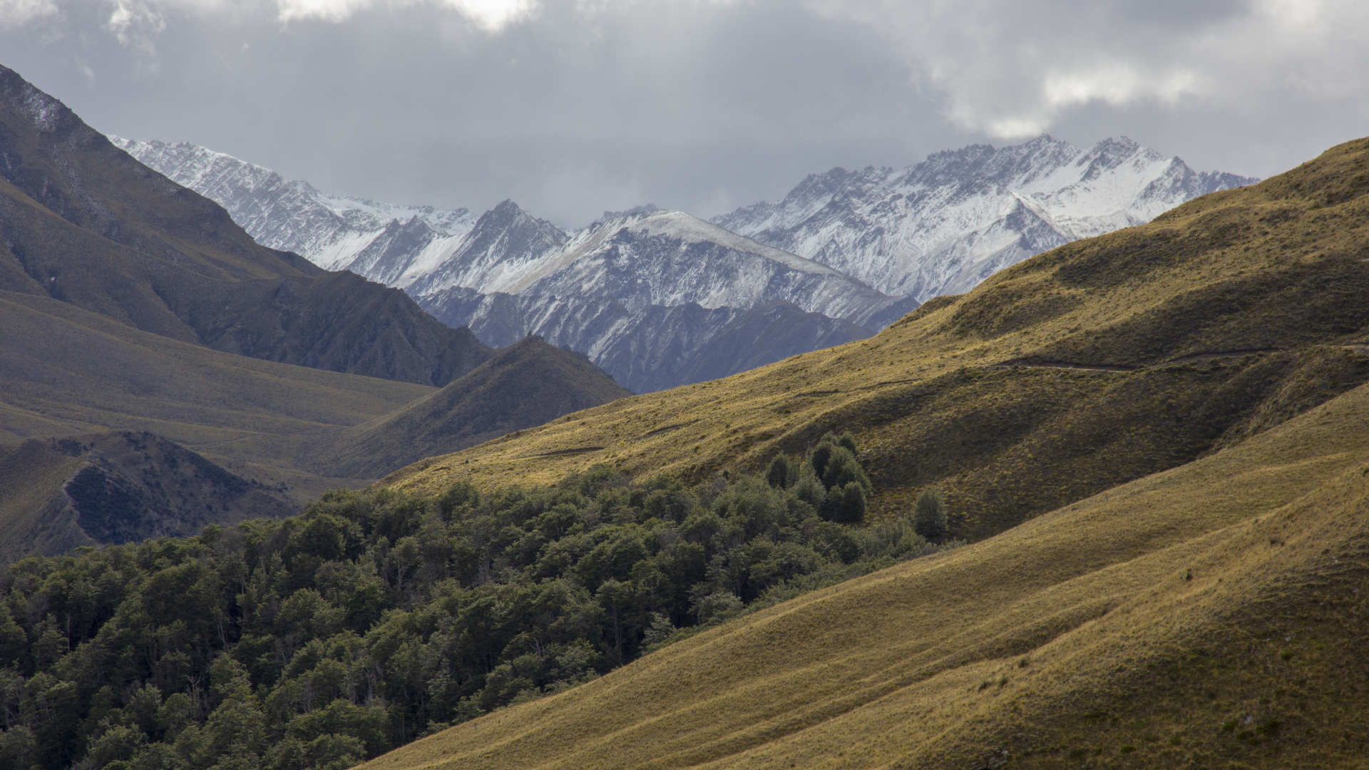 Skippers Canyon tours