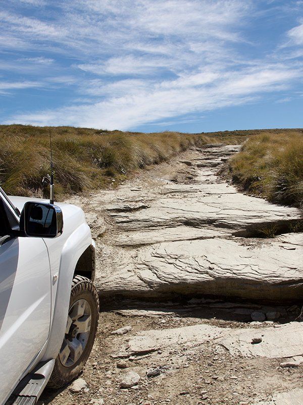 Del 4WD Expeditions Waikaia Bush Road