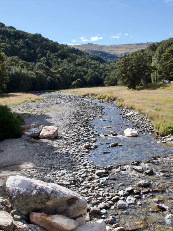 Del 4WD Expeditions Waikaia Bush Road
