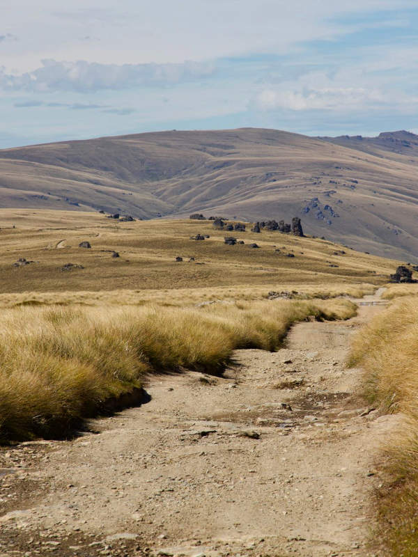 Del 4WD Expeditions Waikaia Bush Road