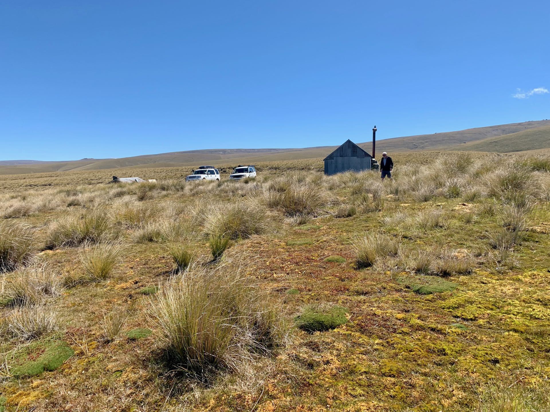 Del 4WD Expeditions Waikaia Bush Road