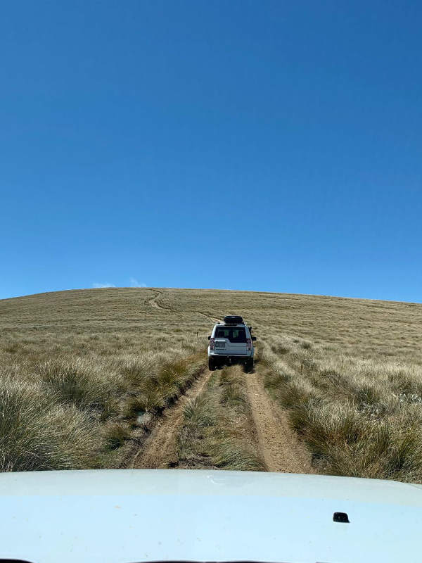 Del 4WD Expeditions Waikaia Bush Road