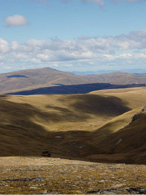 Del 4WD Expeditions Waikaia Bush Road