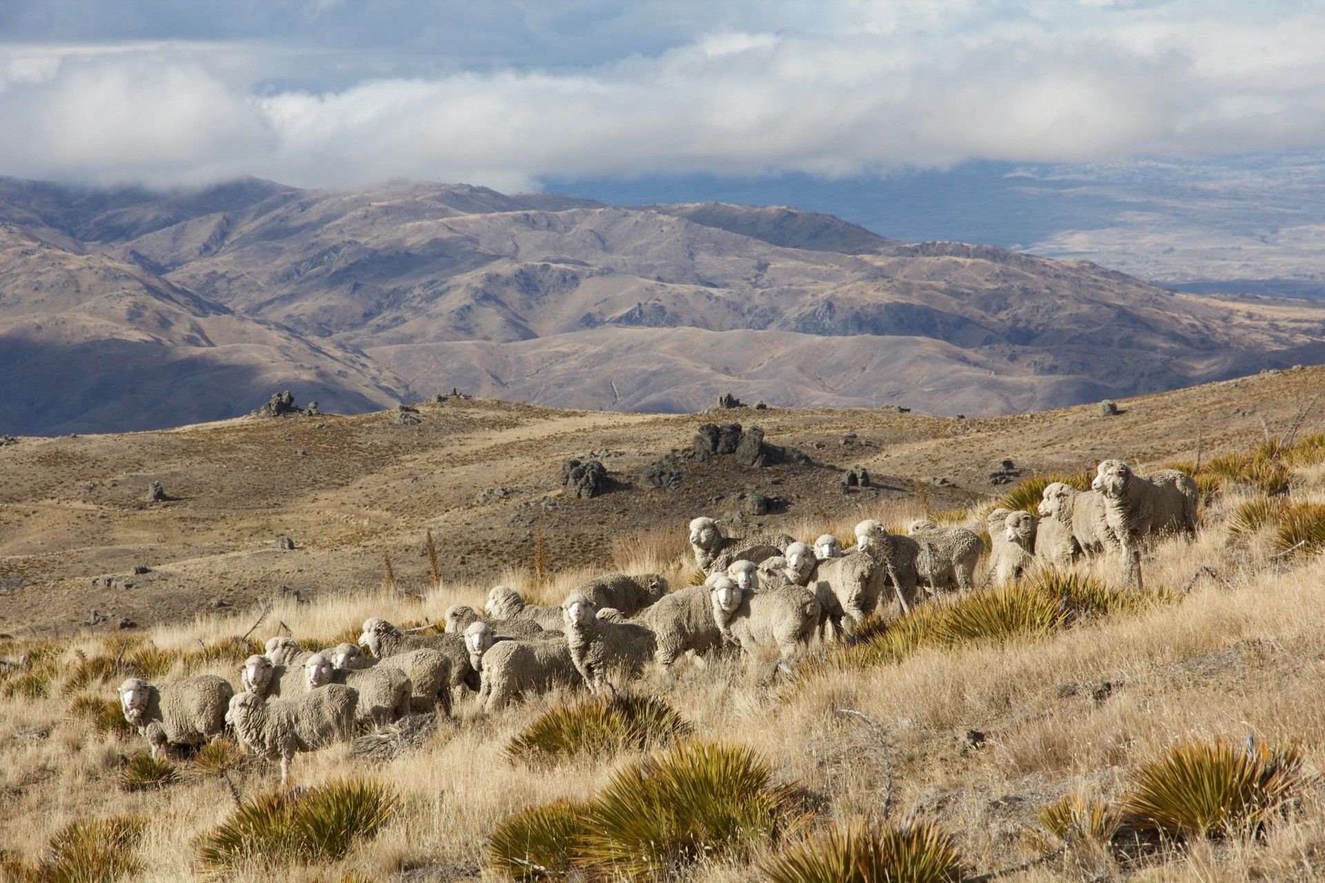 Del 4WD Expeditions Nevis Valley photography tours