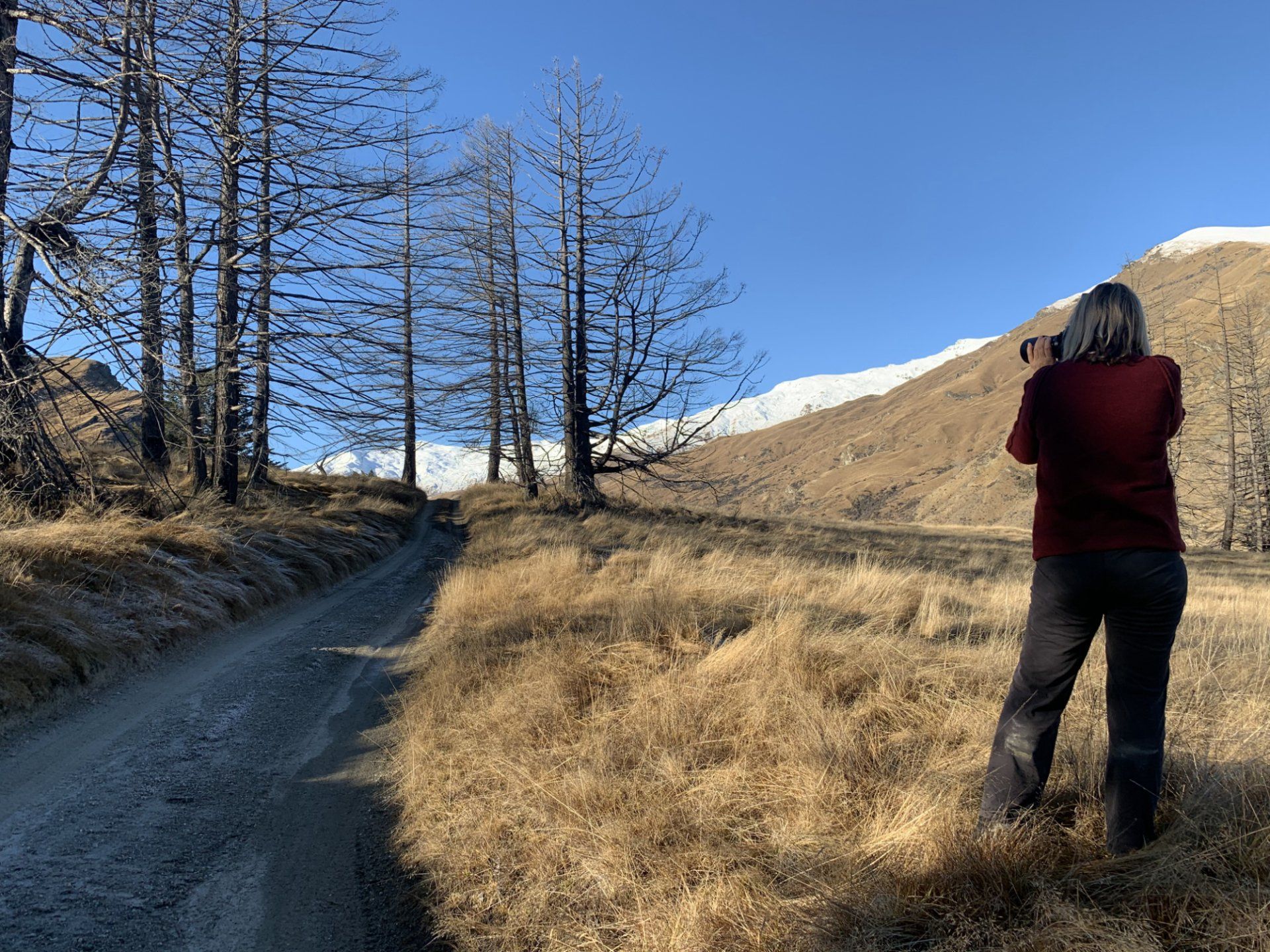 Skippers Canyon photography tours