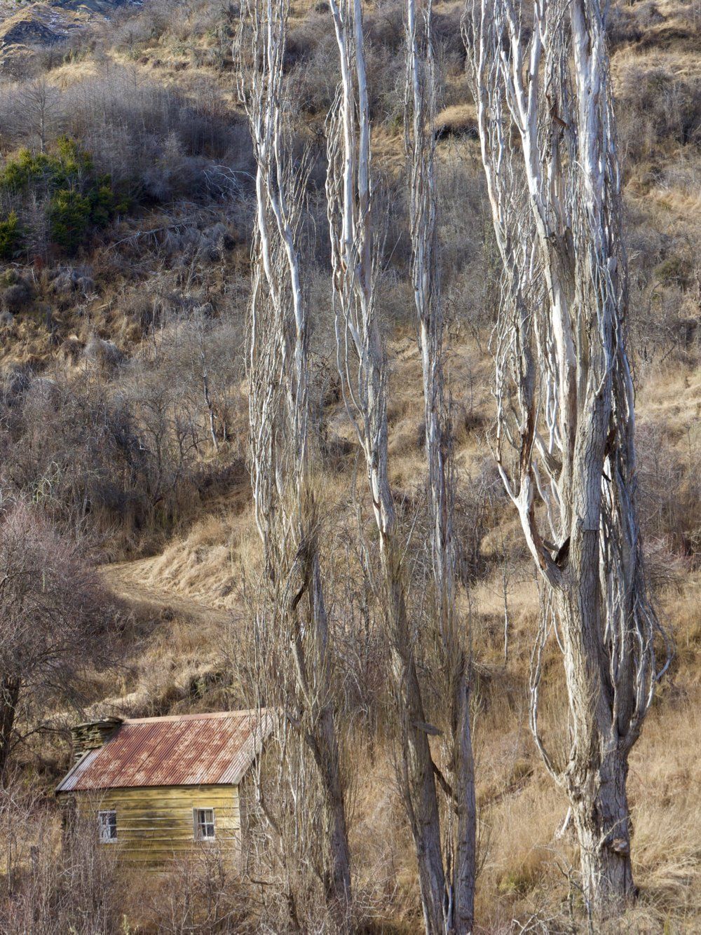 Skippers Canyon photography tours