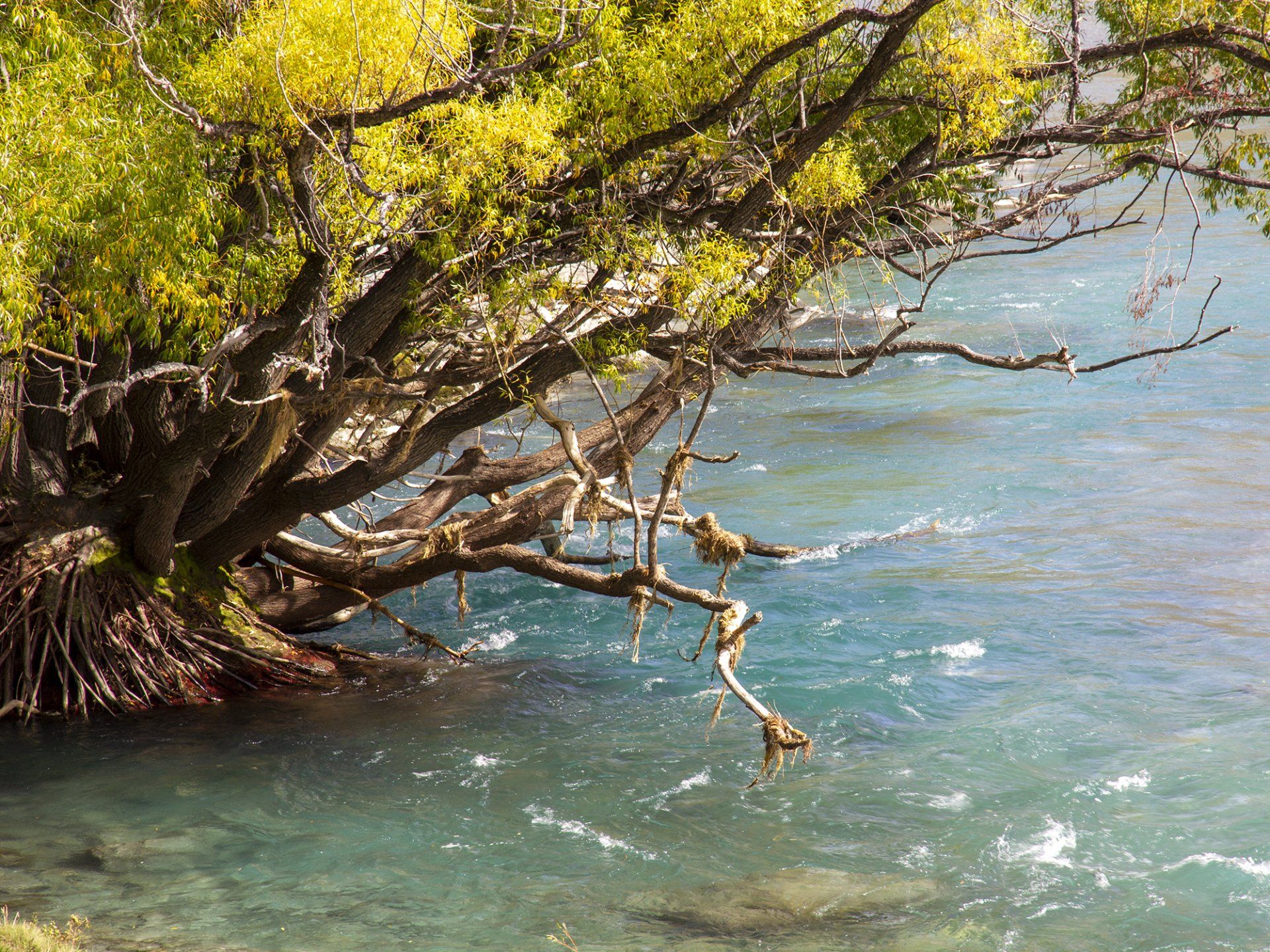 Skippers Canyon photography tours
