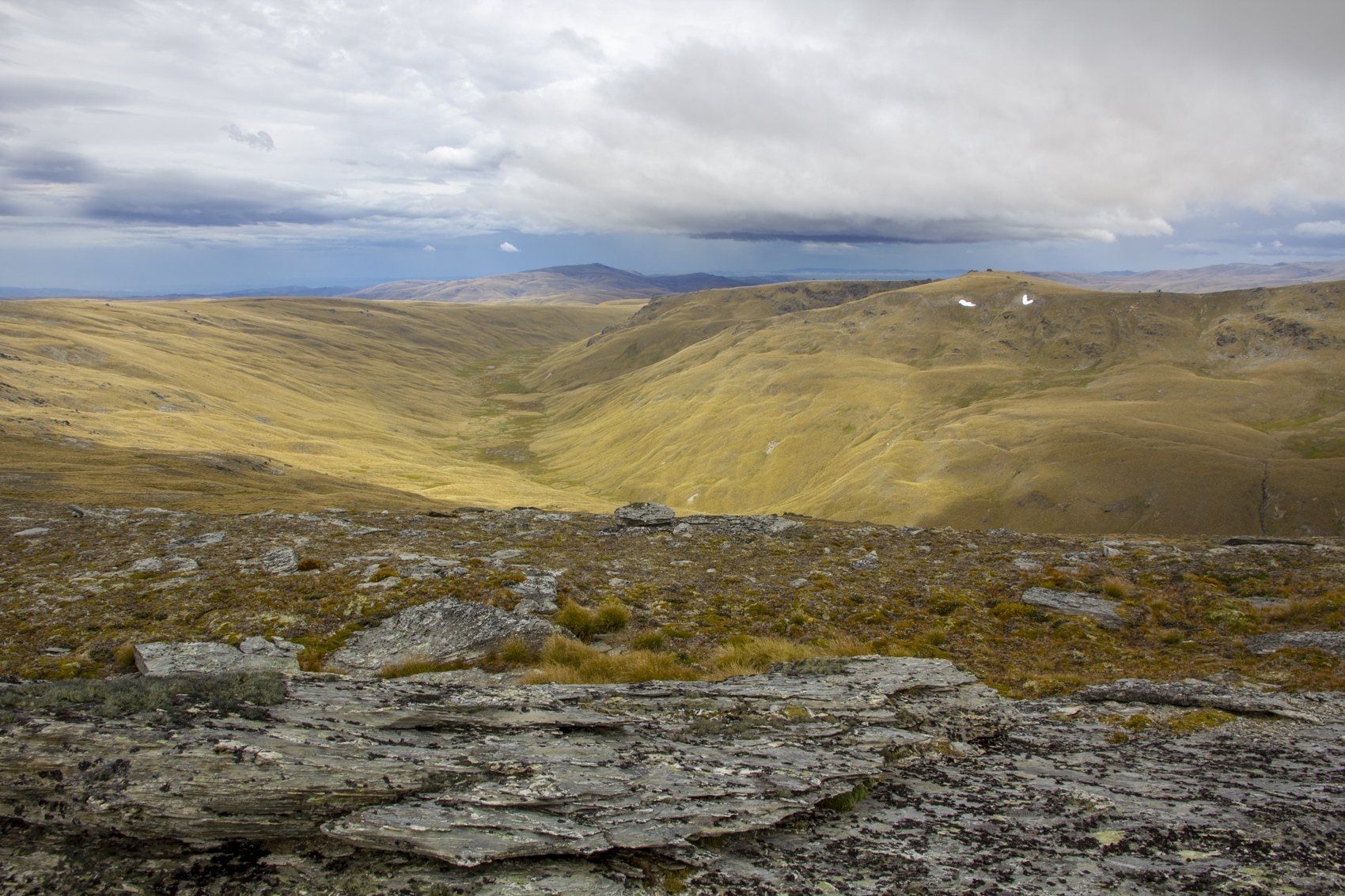 Del 4WD Expeditions Waikaia Bush Road