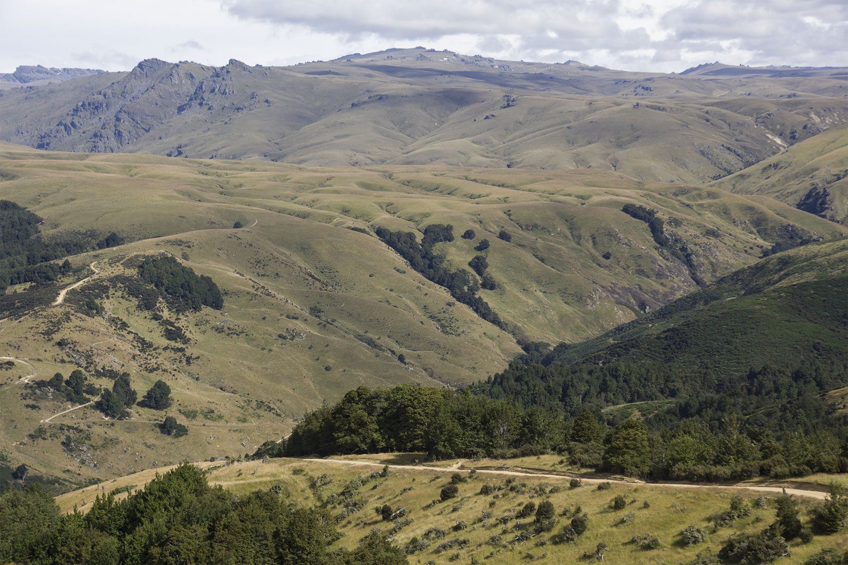 Del 4WD Expeditions Waikaia Bush Road
