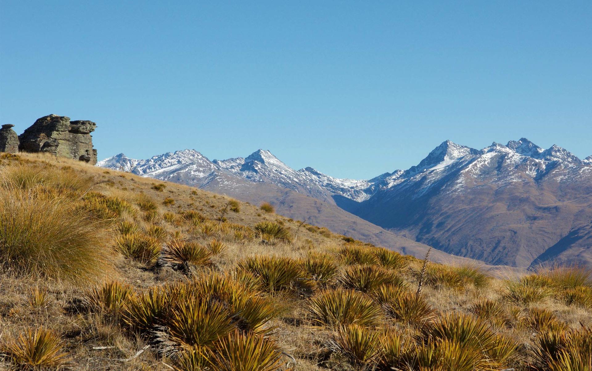Skippers Canyon tours