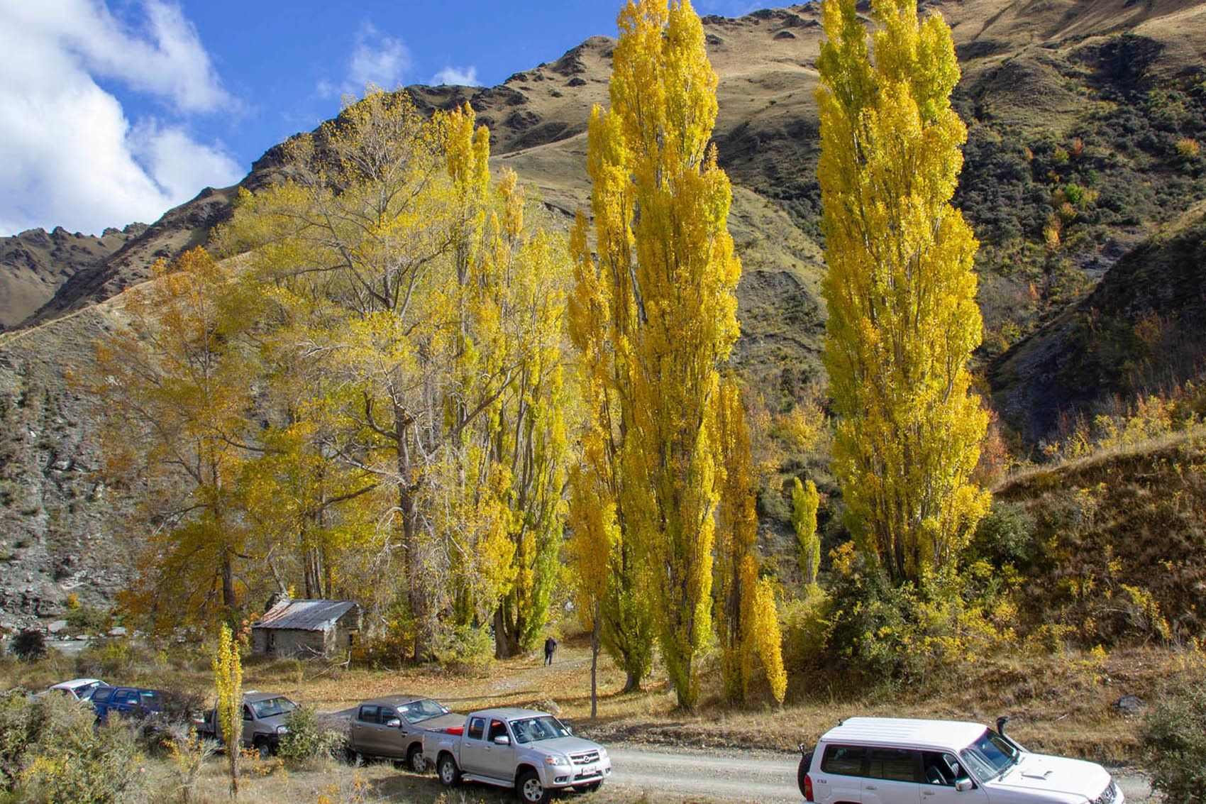 Skippers Canyon photography tours