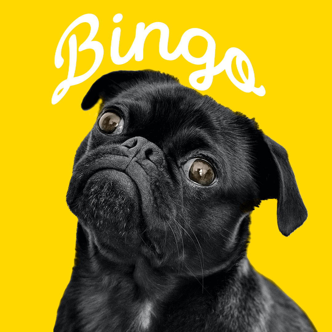 Bingo was his name-o - The Story Behnind the Nursery Rhyme