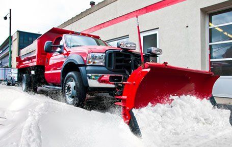Truck Removing Snow — Fox Lake, IL — Joe Meyer Tree Service, Inc.