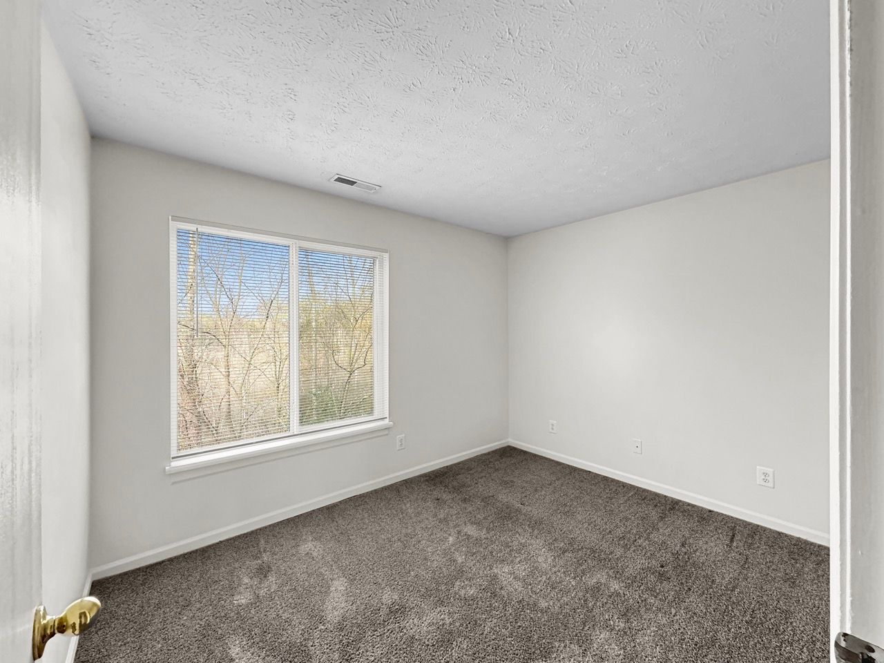 An empty bedroom with a window and carpet.