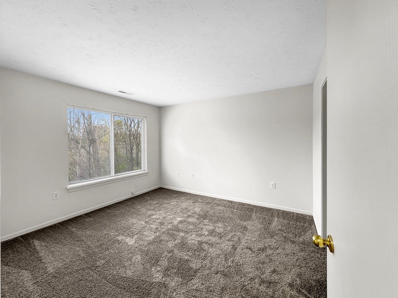 An empty bedroom with a window and a carpeted floor.