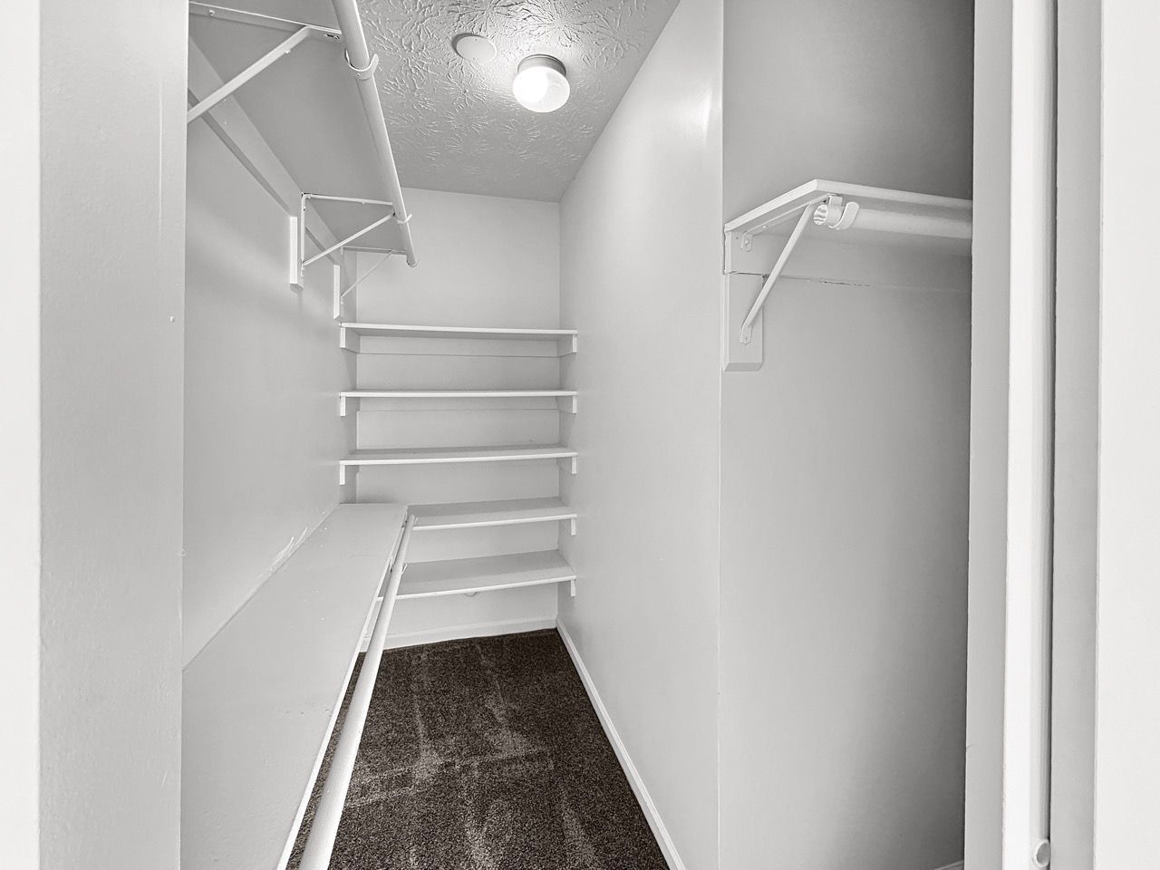 A walk in closet with shelves and stairs in a house.
