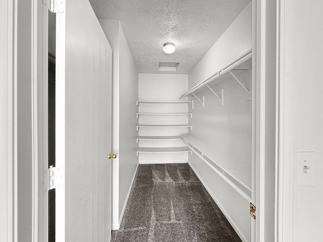 A walk in closet with shelves and a light on the ceiling.