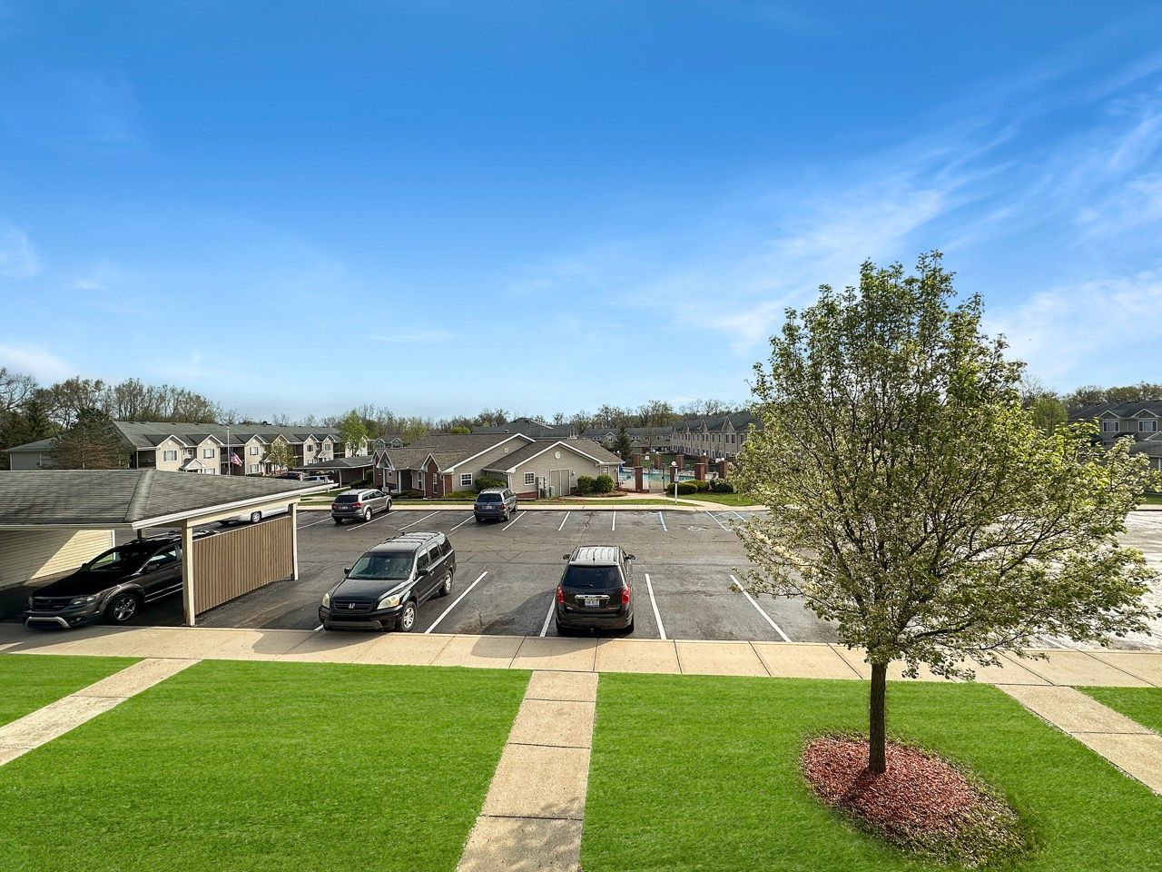 A parking lot with cars parked in it and a tree in the middle.