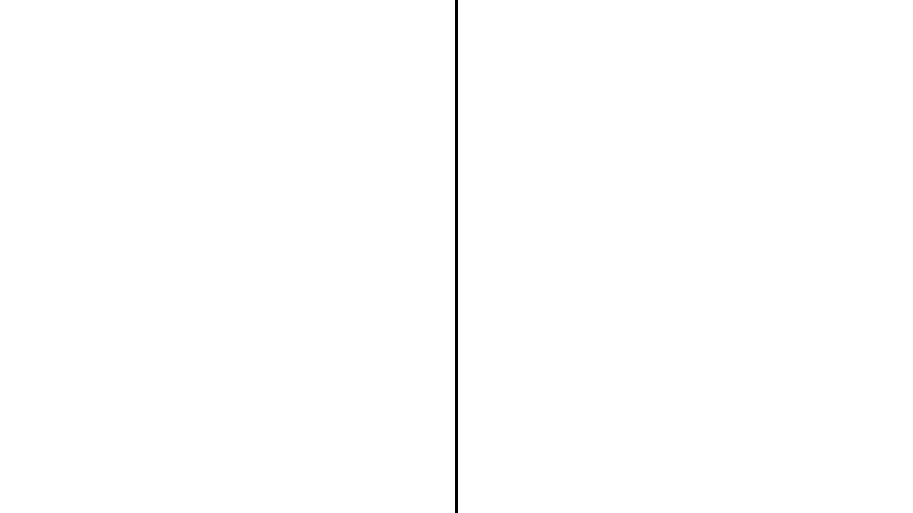 White blank screen with a thin vertical black line near the center and a thin horizontal black line along the bottom edge