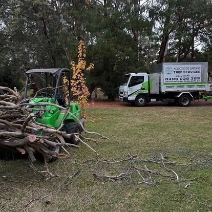 Green tractor and truck with tree branches on a lawn.