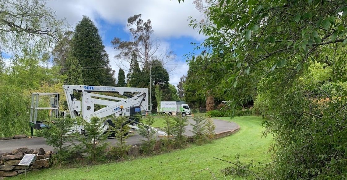 White sculpture, trucks, and path in a green, tree-lined area under a cloudy blue sky.