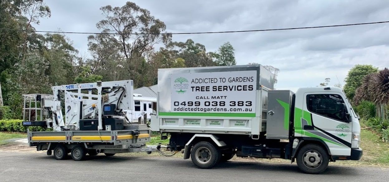 A white truck with a trailer, advertising tree services, parked on a road with trees in the background.