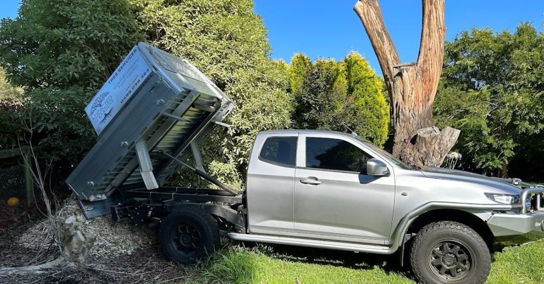 Gray pickup truck with raised bed dumping mulch onto a lawn.