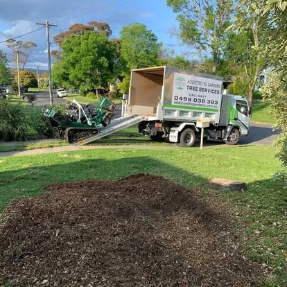 Tree service truck and grinder in a yard, producing mulch.