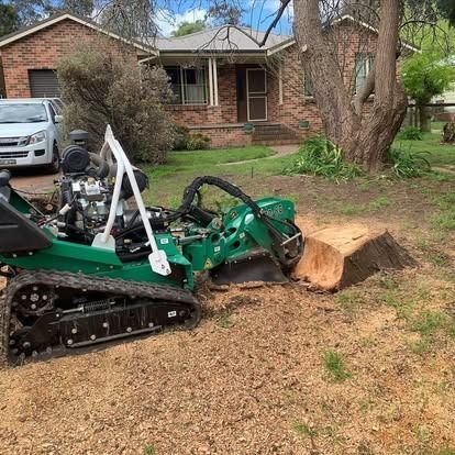 A green stump grinder on tracks grinding down a tree stump in a front yard.