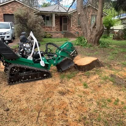 Green stump grinder removing a tree stump in a yard in front of a brick house.
