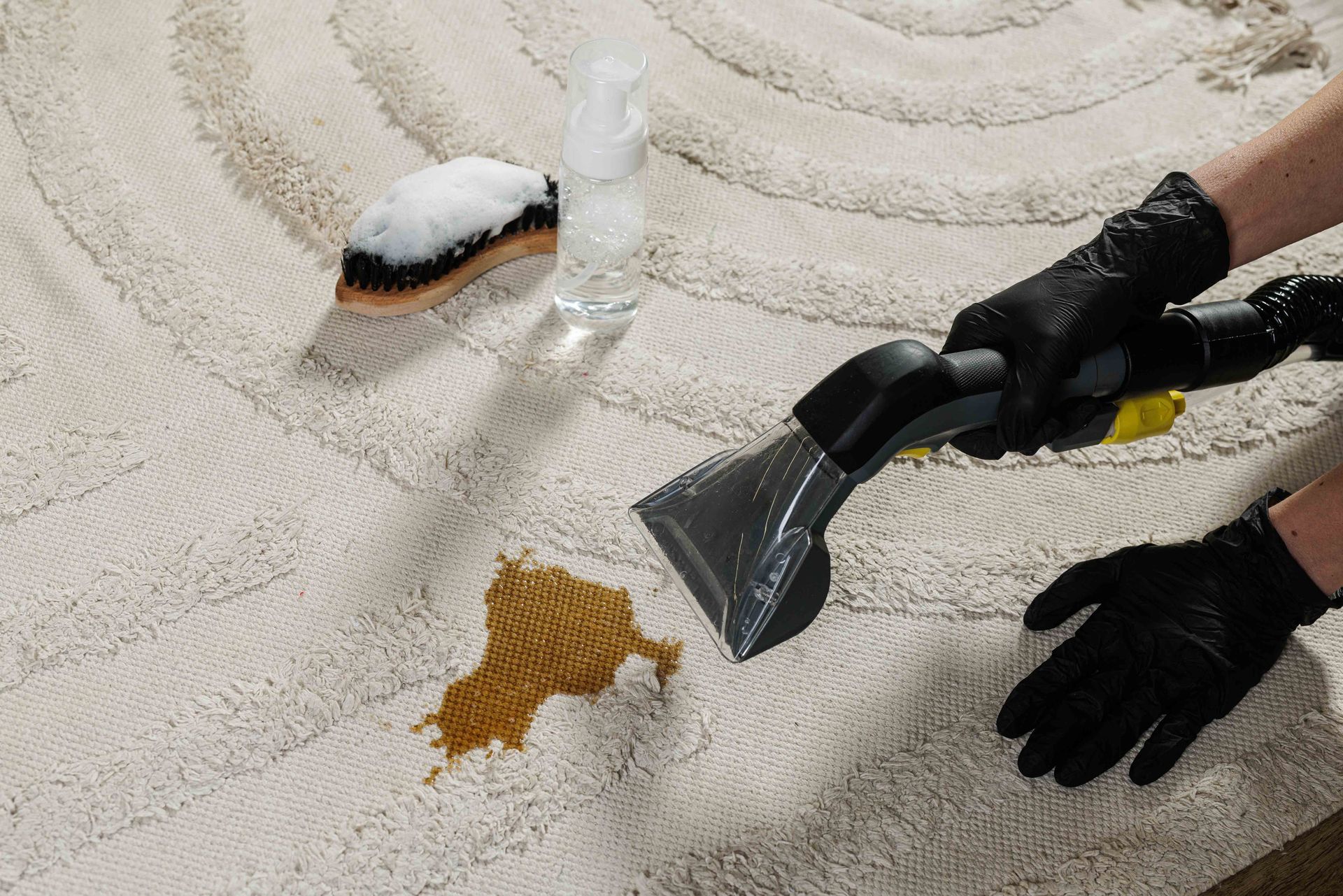 Professional carpet cleaning process with stain removal equipment.