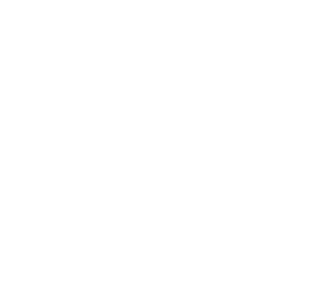Blank white image