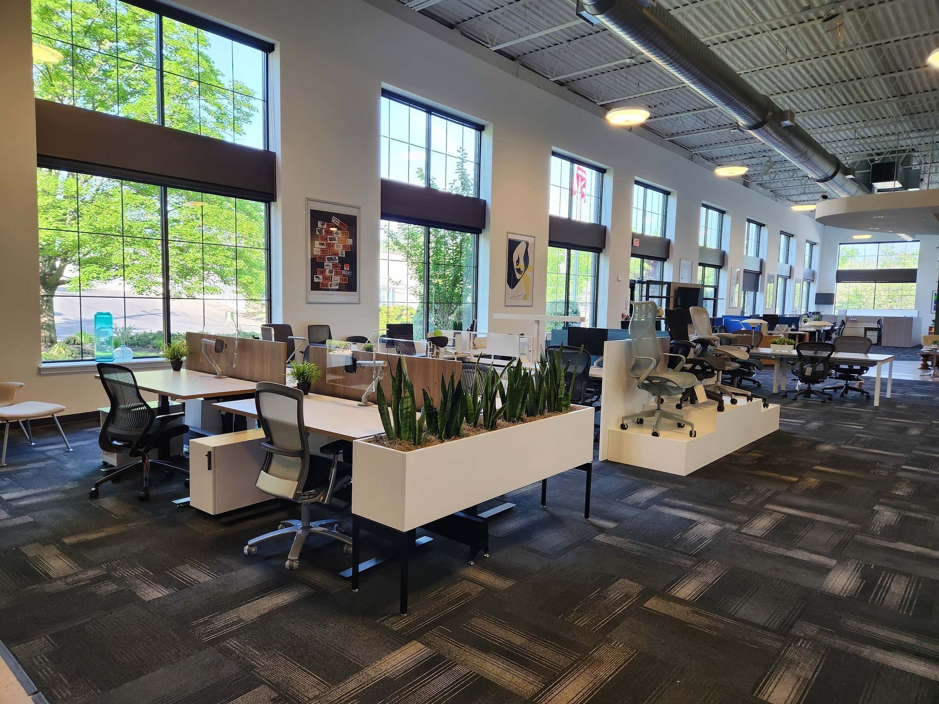 Bright, modern office lounge with desks, chairs, plants, and large windows overlooking trees