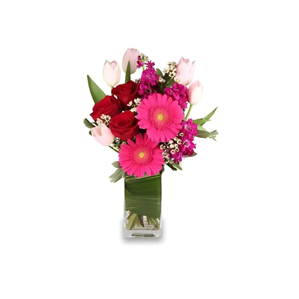 A vase filled with pink and red flowers on a white background