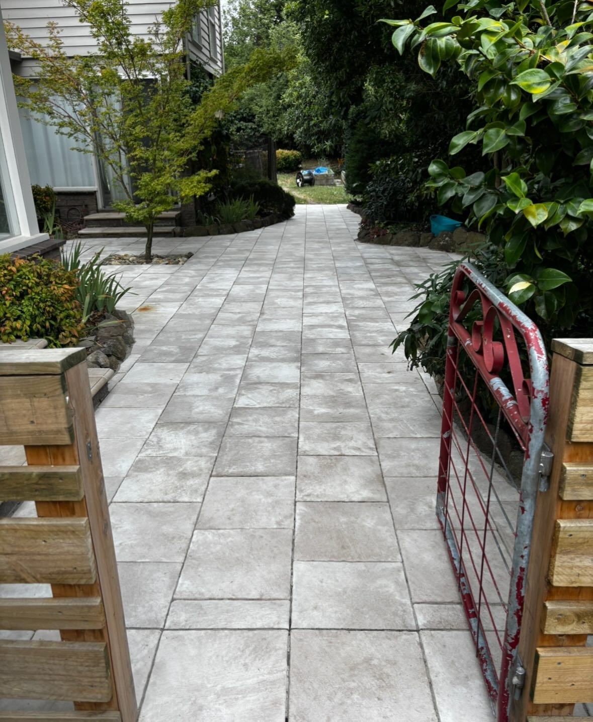 A row of trees sitting on top of a lush green lawn in front of a house.