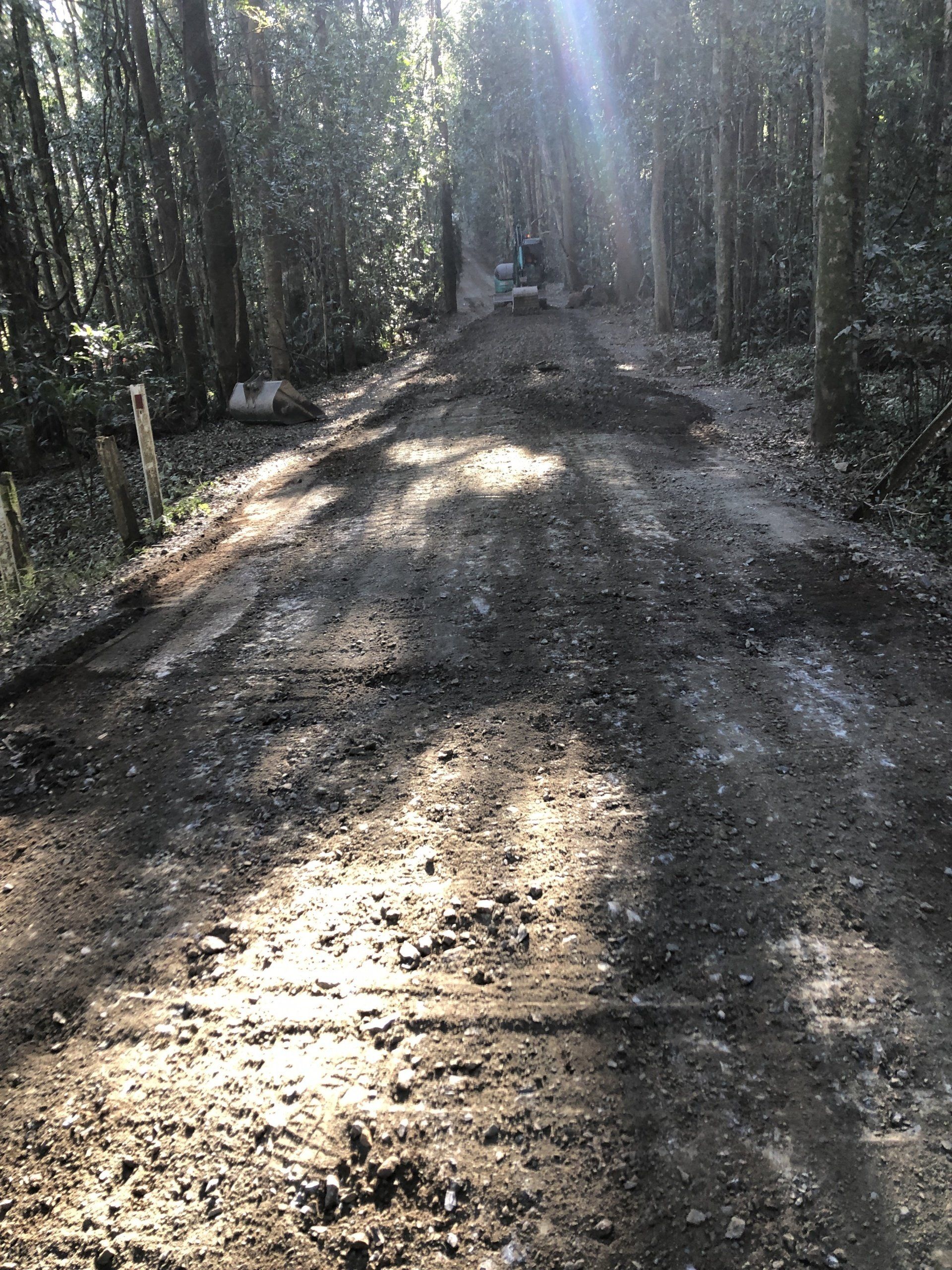 A dirt road in the middle of a forest with trees on both sides.