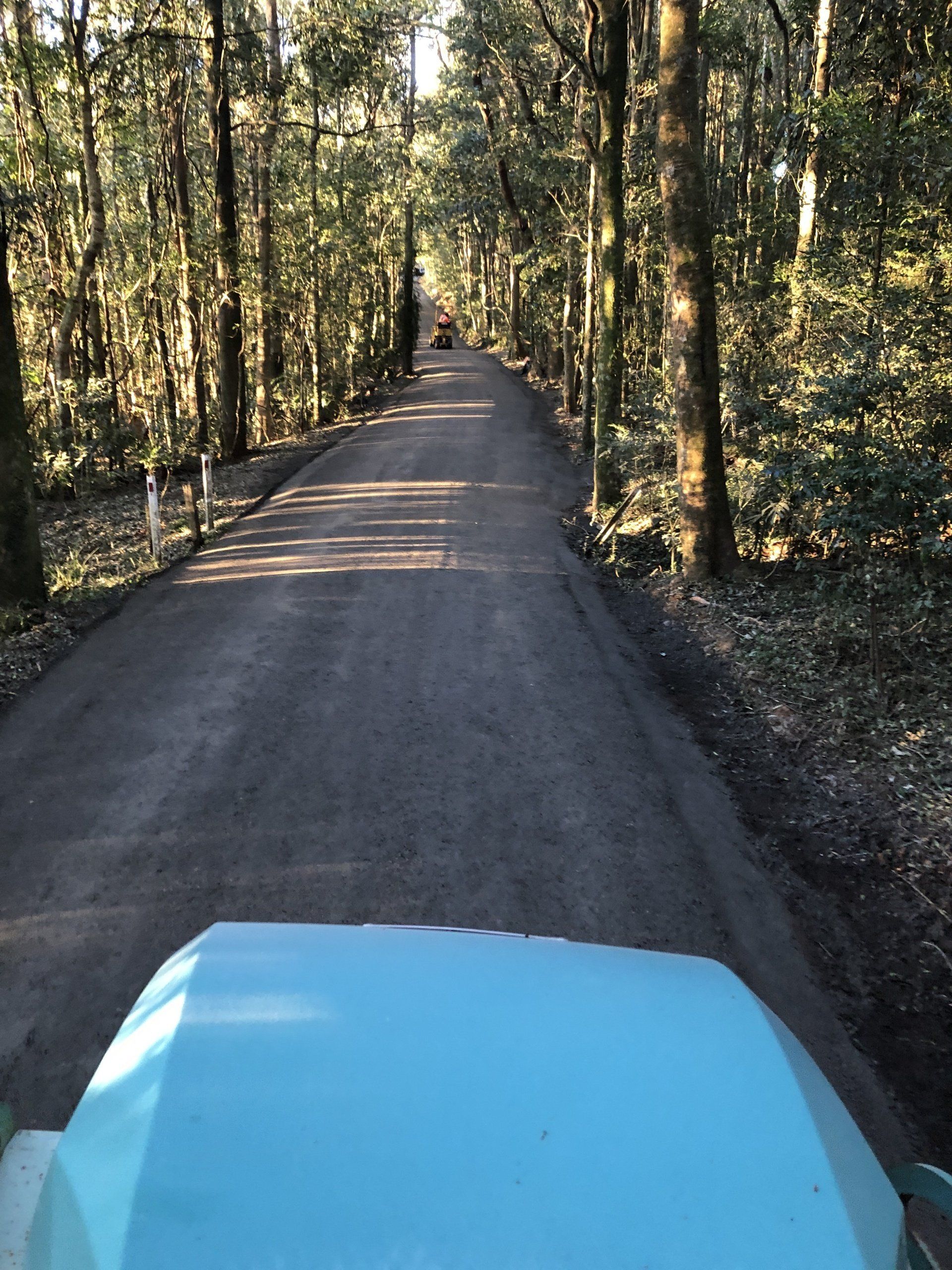 A car is driving down a dirt road in the woods