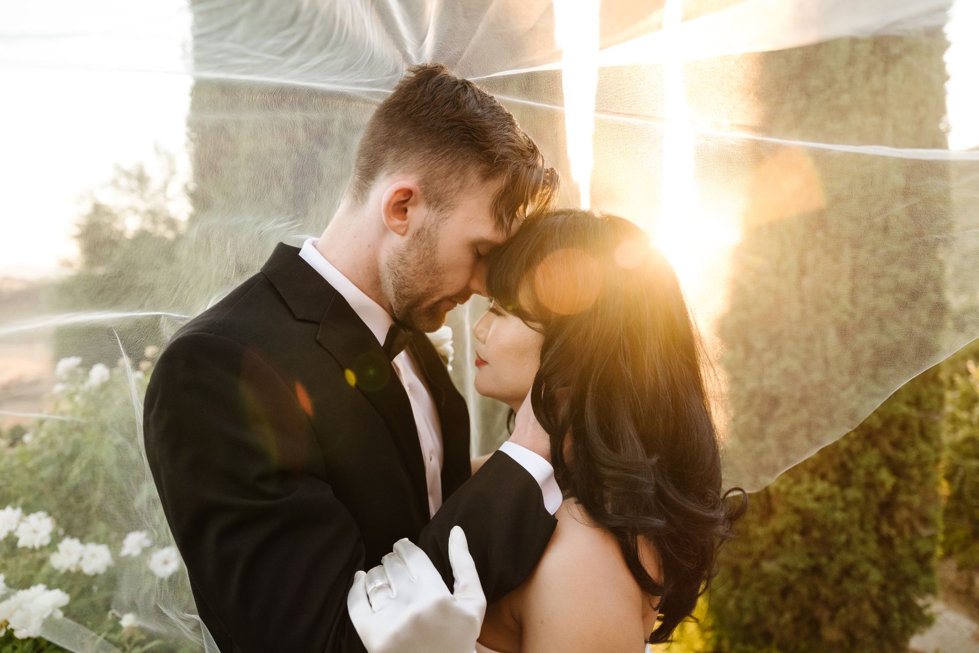 Falkner Winery Wedding Photos