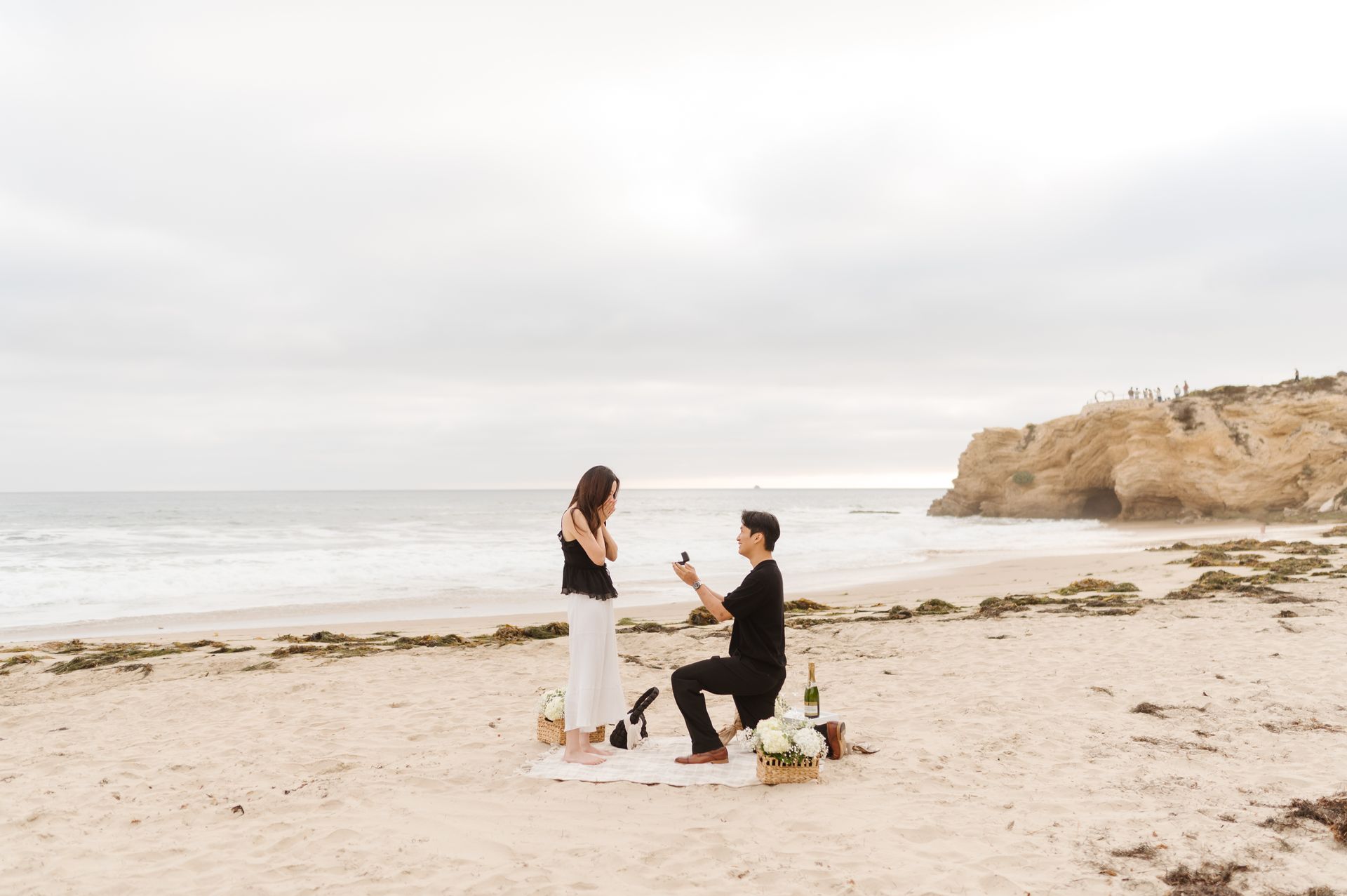 Crystal Cove Proposal Photos