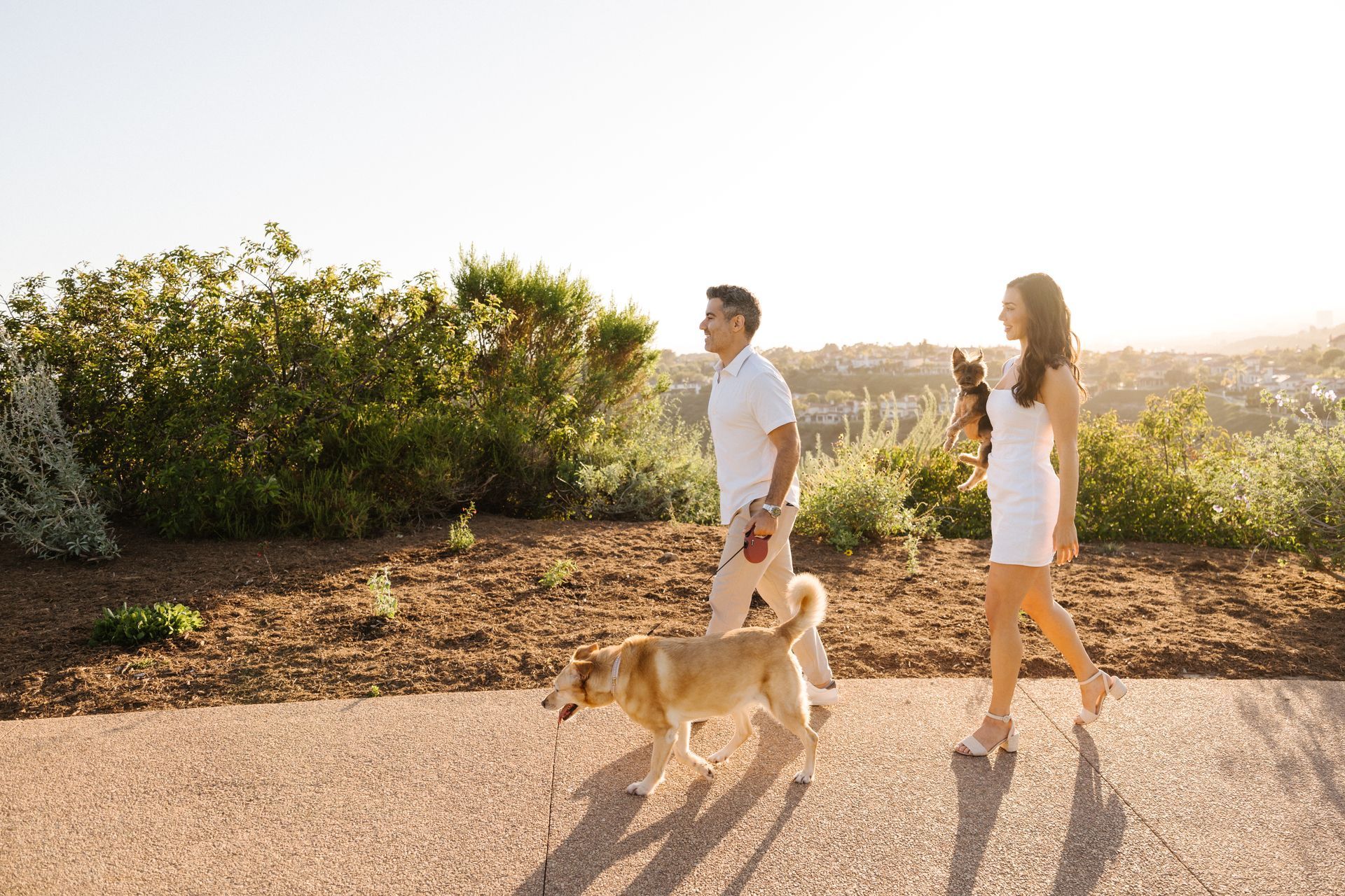 Laguna Dog Parents Photos