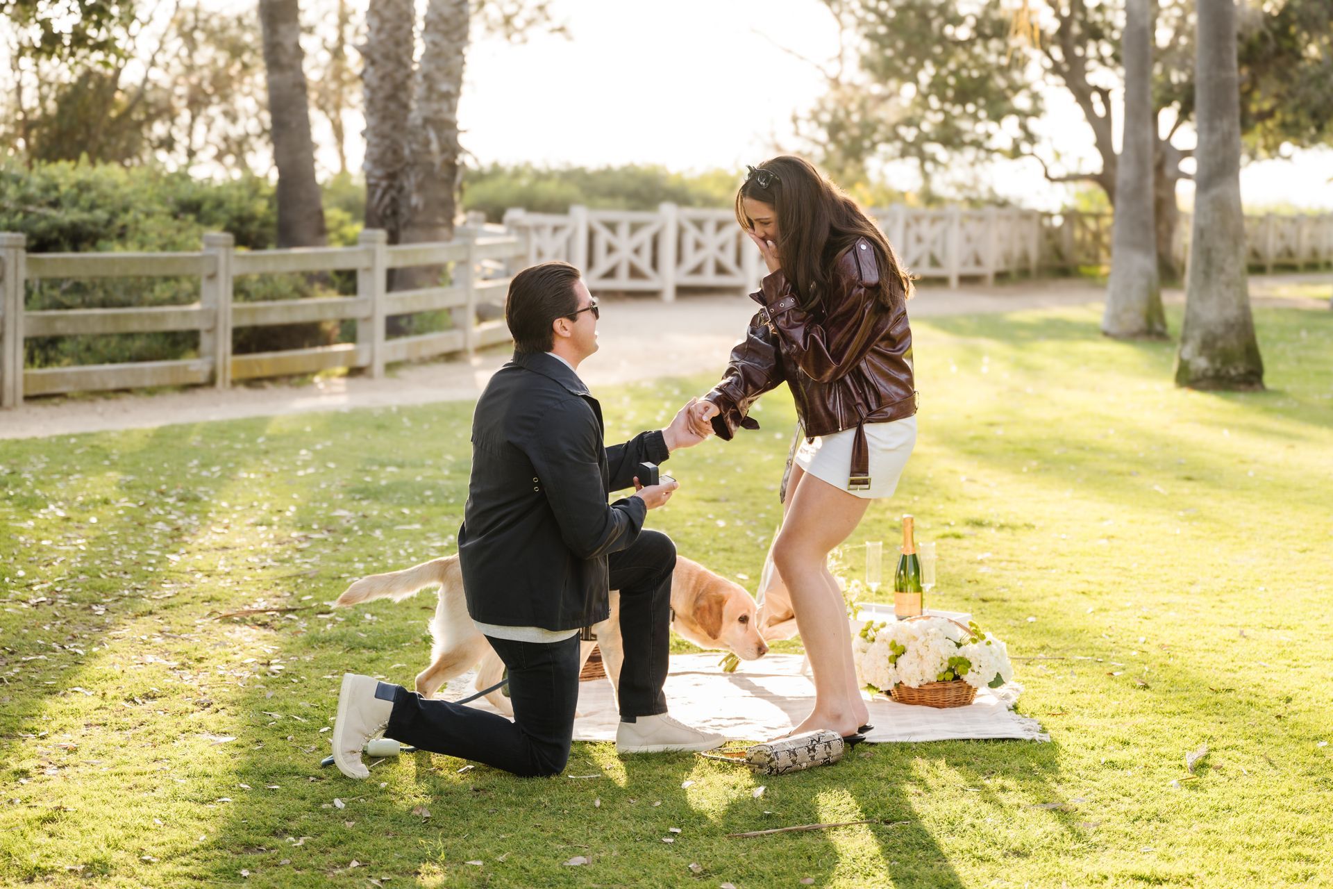 LA Proposal Photos