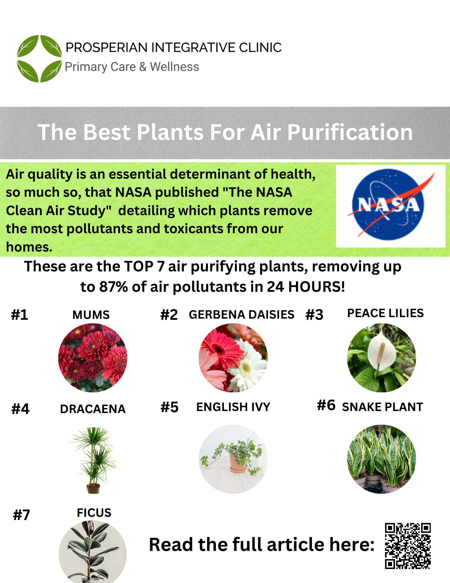 A poster that says the best plants for air purification