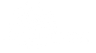 Life Medical - Minnesota Medical & Rehabilitation logo with tree of life